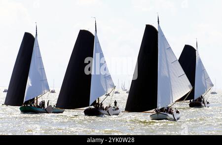 Tradizionali velieri frisoni a fondo piatto in una competizione annuale sull'IJsselmeer, Paesi Bassi Foto Stock