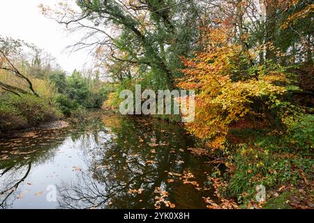 il fiume crumlin scorre attraverso crumlin glen, crumlin, contea di antrim, irlanda del nord Foto Stock