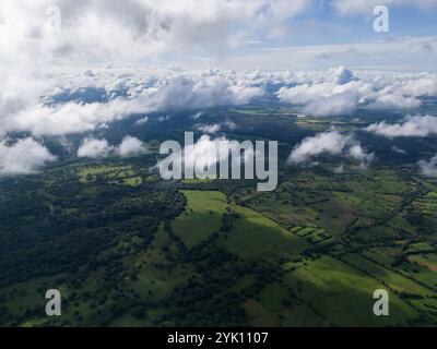 Lussureggianti campi verdi sparsi in tutto il paesaggio, con soffici nuvole che si spostano sotto il cielo azzurro a mezzogiorno. Foto Stock