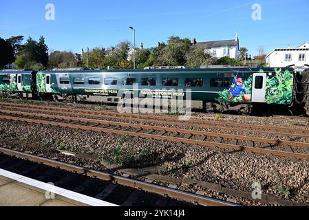 GWR Paddington in Perù, treno che pubblicizza l'uscita del terzo film di Paddington, visto qui alla stazione di Totnes, South Devon. Foto Stock