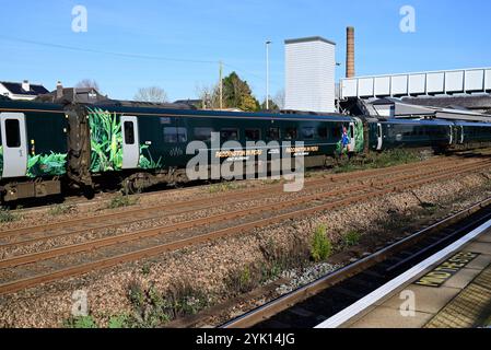 GWR Paddington in Perù, treno che pubblicizza l'uscita del terzo film di Paddington, visto qui alla stazione di Totnes, South Devon. Foto Stock