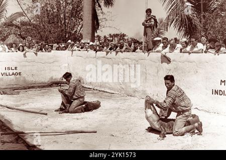 I Seminole Indians lottano contro gli alligatori al Musa Isle Indian Village di Miami, Florida. (USA) Foto Stock