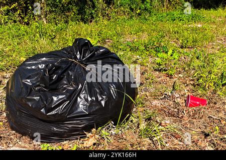 Un sacco di spazzatura nero lasciato nell'erba sul lato di una strada di campagna. Foto Stock
