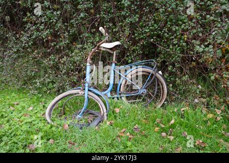 Bici rotta abbandonata vicino a una siepe Foto Stock