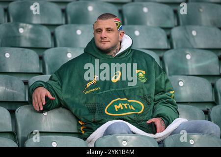 Fan del Sudafrica durante la partita delle Autumn Nations Series Inghilterra vs Sud Africa all'Allianz Stadium, Twickenham, Regno Unito, 16 novembre 2024 (foto di Craig Thomas/News Images) Foto Stock