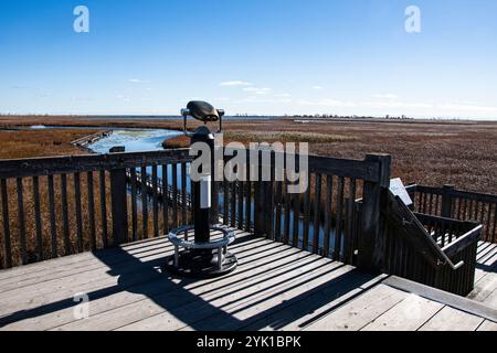 Piattaforma panoramica Marsh Board Walk presso il Point Pelee National Park a Leamington, Ontario, Canada Foto Stock
