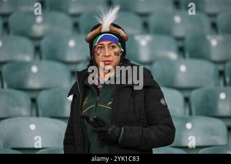 Fan del Sudafrica durante la partita delle Autumn Nations Series Inghilterra vs Sud Africa all'Allianz Stadium di Twickenham, Regno Unito. 16 novembre 2024. (Foto di Craig Thomas/News Images) a Twickenham, Regno Unito il 16/11/2024. (Foto di Craig Thomas/News Images/Sipa USA) credito: SIPA USA/Alamy Live News Foto Stock