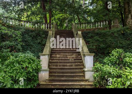 Scale del vecchio giardino di pietra con muschio e decadimento Foto Stock