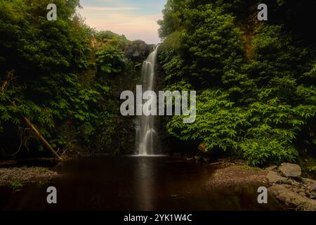 La cascata Cruzal è una pittoresca cascata nella zona di Santo Antán, nella parte orientale dell'isola di São Jorge, nelle Azzorre. Foto Stock