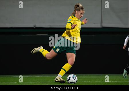 Sittard, Paesi Bassi. 16 novembre 2024. Sittard, Paesi Bassi, 16 novembre 2024: Femke Prins (9 fortuna Sittard Vrouwen) spara la palla (azione) durante la partita Azerion Vrouwen Eredivisie tra fortuna Sittard Vrouwen e Feyenoord Vrouwen al fortuna Sittard Stadion di Sittard, Paesi Bassi (Martin Pitsch/SPP) credito: SPP Sport Press Photo. /Alamy Live News Foto Stock