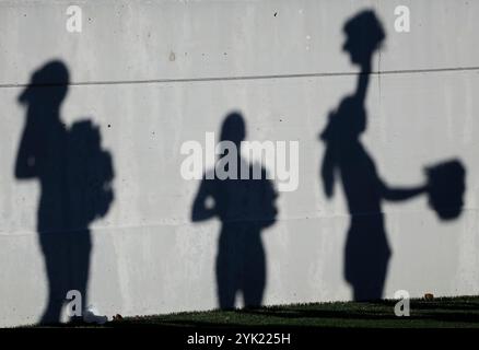 Annapolis, MD, Stati Uniti. 16 novembre 2024. Ombre delle cheerleader della Marina durante una partita di football NCAA tra la United States Naval Academy e la Tulane Green Wave al Navy-Marine Corp Memorial Stadium di Annapolis, MD. Justin Cooper/CSM/Alamy Live News Foto Stock