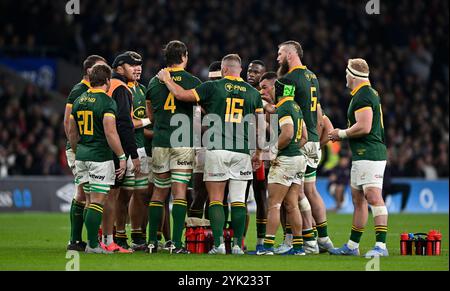 Twickenham, Regno Unito. 16 novembre 2024. Aeroporto internazionale di Autunno. Inghilterra V Sud Africa. Stadio Allianz. Twickenham. L'incontro di rugby tra Inghilterra e Sud Africa Autumn International all'Allianz Stadium di Londra, Regno Unito. Crediti: Sport in foto/Alamy Live News Foto Stock