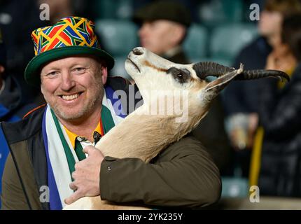 Twickenham, Regno Unito. 16 novembre 2024. Aeroporto internazionale di Autunno. Inghilterra V Sud Africa. Stadio Allianz. Twickenham. Un fan del Sudafrica con uno Springbok imbottito durante la partita di rugby England V South Africa Autumn International all'Allianz Stadium di Londra, Regno Unito. Crediti: Sport in foto/Alamy Live News Foto Stock