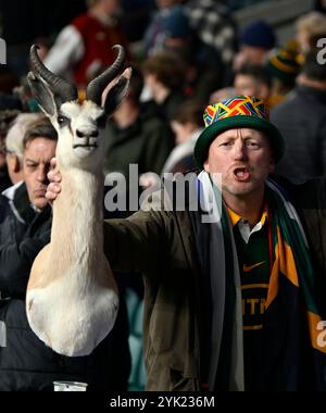 Twickenham, Regno Unito. 16 novembre 2024. Aeroporto internazionale di Autunno. Inghilterra V Sud Africa. Stadio Allianz. Twickenham. Un fan del Sudafrica con uno Springbok imbottito durante la partita di rugby England V South Africa Autumn International all'Allianz Stadium di Londra, Regno Unito. Crediti: Sport in foto/Alamy Live News Foto Stock