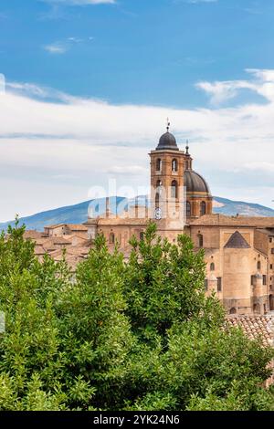 Cattedrale vista dalla Fortezza di Albornoz. Città vecchia, Urbino, Marche, Italia, Europa Foto Stock