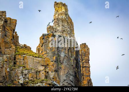 Cascata rocciosa piccoli iceberg all'Alkefjellet tra Spitsbergen e Nordaustlandet sulle Svalbard, Norvegia Foto Stock