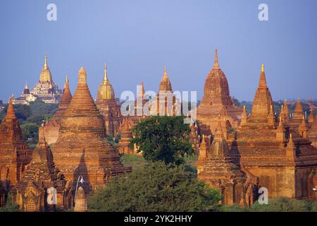 Vista generale dei templi e della zona archeologica di Bagans. Bagan, Myanmar Foto Stock