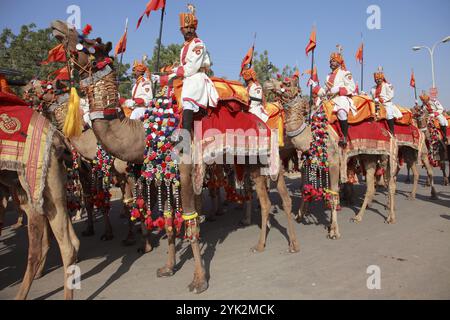 India, Rajasthan, Jaisalmer, Desert Festival, processione di cammelli Foto Stock