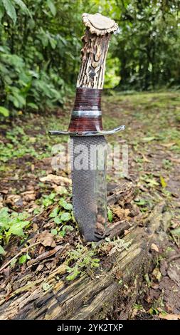 Vista di un coltello da caccia bloccato in un ceppo d'albero Foto Stock