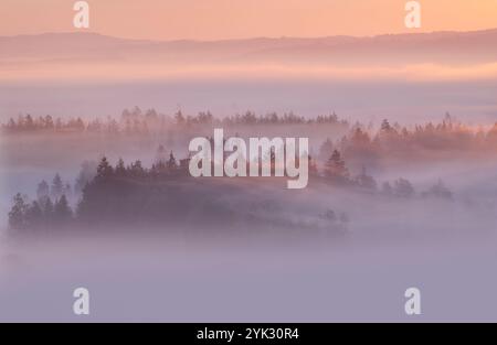 Vista dei Kochelmoos all'alba e alla nebbia, Zell, Großweil, Baviera, Germania Foto Stock