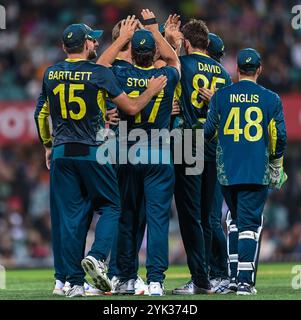 Sydney, Australia. 16 novembre 2024. L'Australia Team celebra la cattura di Tim David per licenziare Mohammad Rizwan del Pakistan durante la seconda partita maschile T20I tra Australia e Pakistan al Sydney Cricket Ground. L'Australia ha vinto la seconda partita T20I contro il Pakistan per 13 punti al Sydney Cricket Ground. L'Australia conduce la serie T20 2-0 con l'ultima partita T20 che si disputerà il 18 novembre al Bellerive Oval in Tasmania. Australia: 147/9 (20 over), Paklistan: 134/10 (19,4 over). (Foto di Ayush Kumar/SOPA Images/Sipa USA) credito: SIPA USA/Alamy Live News Foto Stock