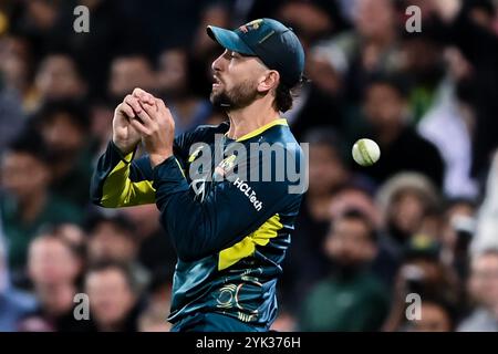 Sydney, Australia. 16 novembre 2024. Matt Short dell'Australia perde un colpo durante la seconda partita maschile T20I tra Australia e Pakistan al Sydney Cricket Ground. L'Australia ha vinto la seconda partita T20I contro il Pakistan per 13 punti al Sydney Cricket Ground. L'Australia conduce la serie T20 2-0 con l'ultima partita T20 che si disputerà il 18 novembre al Bellerive Oval in Tasmania. Australia: 147/9 (20 over), Paklistan: 134/10 (19,4 over). (Foto di Ayush Kumar/SOPA Images/Sipa USA) credito: SIPA USA/Alamy Live News Foto Stock