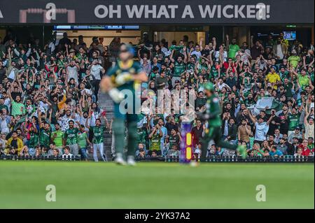 Sydney, Australia. 16 novembre 2024. La folla fa il tifo per Matt Short dell'Australia, che viene sconfitto da Abbas Afridi del Pakistan durante la seconda partita maschile T20I tra Australia e Pakistan al Sydney Cricket Ground. L'Australia ha vinto la seconda partita T20I contro il Pakistan per 13 punti al Sydney Cricket Ground. L'Australia conduce la serie T20 2-0 con l'ultima partita T20 che si disputerà il 18 novembre al Bellerive Oval in Tasmania. Australia: 147/9 (20 over), Paklistan: 134/10 (19,4 over). (Foto di Ayush Kumar/SOPA Images/Sipa USA) credito: SIPA USA/Alamy Live News Foto Stock