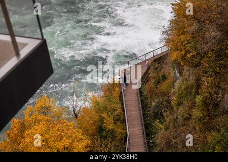 Europa Svizzera le Cascate del Reno. Svizzera le Cascate del Reno, la più grande cascata della Svizzera e dell'Europa. Turista sul ponte . Foto Stock