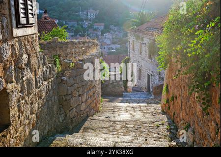 Sidestepping acciottolato, città di Lastovo, isola di Lastovo, Croazia, Europa sudorientale Foto Stock