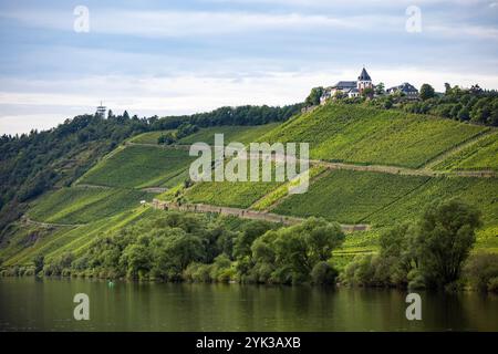 Vigneti lungo la Mosella con Hotel e ristorante Marienburg sul pendio, Pünderich, Renania-Palatinato, Germania, Europa Foto Stock