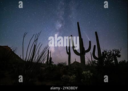 Cometa C/2023 A3 (ATLANTE Tsuchinshan) Foto Stock