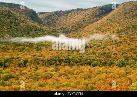 Low Clouds Cape Breton Highlands National Park   Big Intervale Cape North, nuova Scozia, CAN Foto Stock