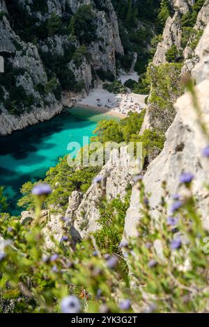 Vista dall'alto della Calanque d'EN-vau tra Cassis e Marsiglia, Provenza, Francia, Europa Foto Stock