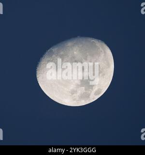 Luna nella fase a mezzaluna, l'immagine è stata catturata con qualche luce diurna ancora presente, da cui il cielo limpido. Foto Stock