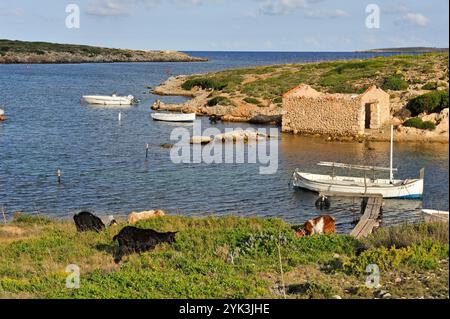 Porto di Sanitja, Capo Cavalleria sulla costa settentrionale di Minorca, Isole Baleari, Spagna, Europa Foto Stock