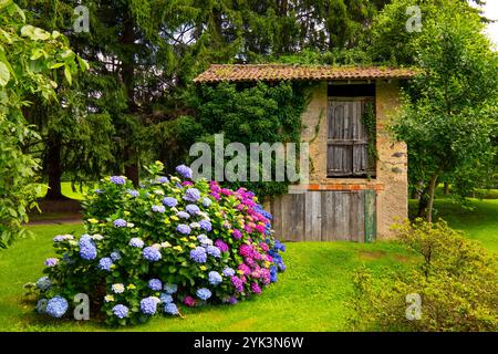 Capanna rustica nel bosco con fiori a Lugano, Ticino, Svizzera. Foto Stock