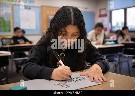 Gli studenti della terza elementare della Northwest Elementary School lavorano su un esercizio di matematica, Lebanon, Pa., 17 ottobre 2024. Come parte di un più ampio aggiornamento degli standard nutrizionali scolastici annunciato all'inizio di quest'anno, l'USDA ha reso più facile per le scuole acquistare cibi locali. All'inizio di quest'anno scolastico (2024-2025), l'USDA ha istituito un cambiamento di politica che consente alle scuole di richiedere che gli alimenti siano coltivati localmente, allevati o catturati quando effettuano acquisti per i loro programmi di pasto. L'investimento da 500 milioni di dollari recentemente annunciato in Local Foods for Schools incoraggerà le scuole a sfruttare questa nuova opzione per acquistare prodotti locali. Per aiutare la emp Foto Stock