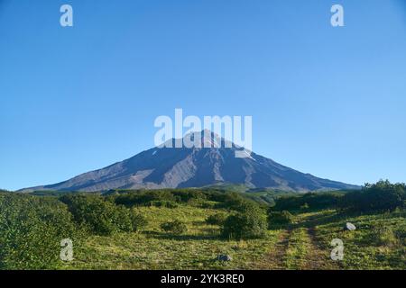Vulcano Koryaksky. Il maestoso e stupefacente vulcano si trova sotto un chiaro e brillante cielo blu Foto Stock