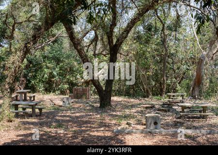 Area picnic all'aperto in una foresta con panchine e tavoli sull'isola di Tung Ping Chau a Hong Kong Foto Stock