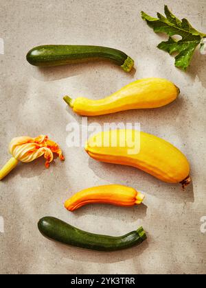 Diversi tipi di zucchine e fiori di zucchine Foto Stock