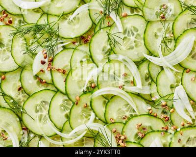Fette di cetriolo con cipolle, aneto e coriandolo Foto Stock