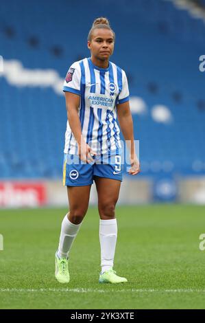 Brighton, Regno Unito. 16 novembre 2024. Nikita Parris di Brighton durante il Barclays Women's Super League match tra Brighton & Hove Albion e West Ham United all'American Express Stadium. Crediti: James Boardman/Alamy Live News Foto Stock