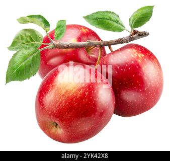 Mele rosse mature sul ramo con foglie verdi su sfondo bianco. Il file contiene il percorso di ritaglio. Foto Stock