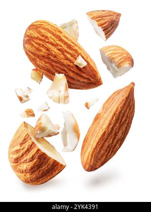 Dado di mandorla diviso a metà, pezzi di dado di mandorla che levitano in aria, isolato su sfondo bianco. Il file contiene il percorso di ritaglio. Foto Stock