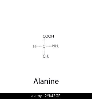 Formula chimica di alanina. Aminoacidi essenziali. Chimica organica. Vettore. Illustrazione Vettoriale