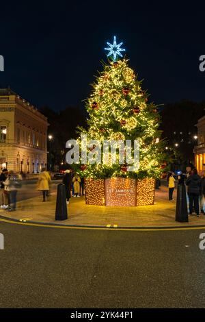 LONDRA - 15 NOVEMBRE 2024: Il bellissimo albero di Natale a Waterloo Place di fronte al Sofitel Hotel St James's è decorato in rosso e oro Foto Stock