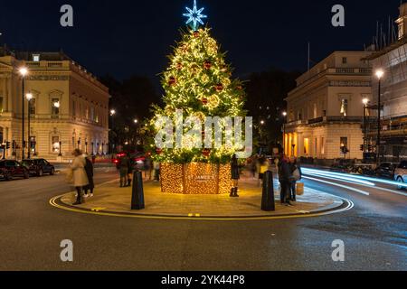 LONDRA - 15 NOVEMBRE 2024: Il bellissimo albero di Natale a Waterloo Place di fronte al Sofitel Hotel St James's è decorato in rosso e oro Foto Stock