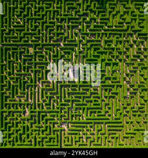 Vista aerea di persone che cercano di uscire in un giardino labirinto durante il giorno di sole Foto Stock