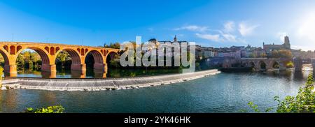 La riva sud del Tarn ad Albi, nel Tarn, a Occitanie, in Francia Foto Stock