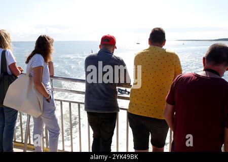 Persone che si godono il panorama mentre navigano con un traghetto sulle distese fangose del Waddensea, Paesi Bassi Foto Stock